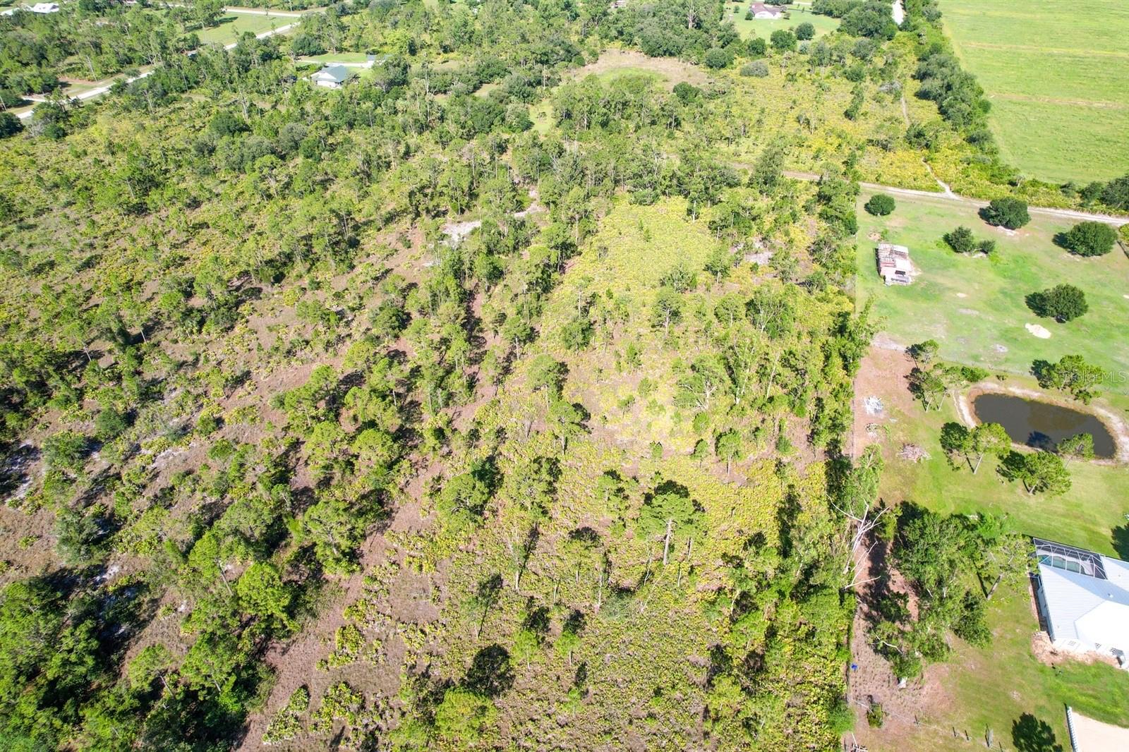 Image 5 of 15 For 7001 Cypress Grove Circle
