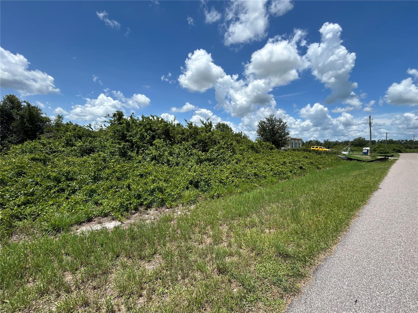 Details for 29100 Alfaretta Avenue, PUNTA GORDA, FL 33982