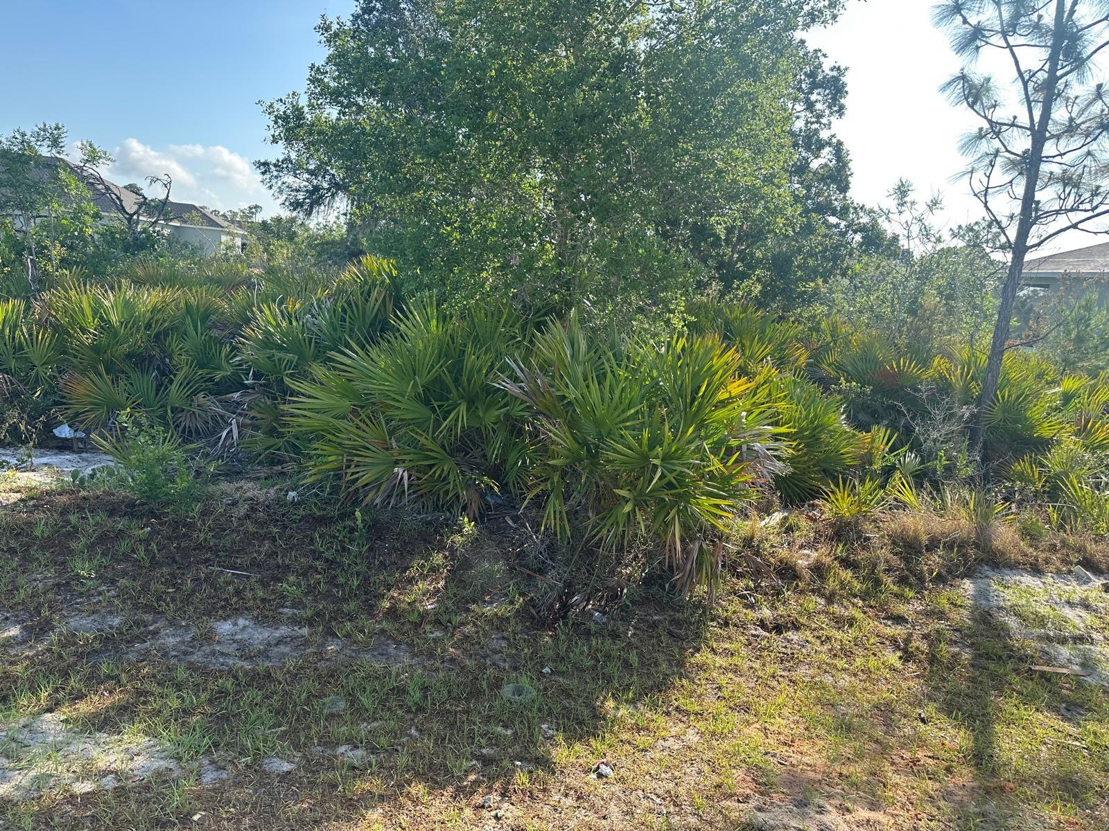 Details for 6022 Nevada Street, SEBRING, FL 33872