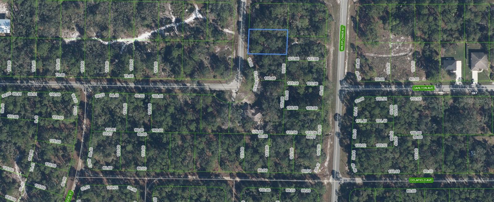 Listing Details for 3202 Dahlia Drive, LAKE PLACID, FL 33852