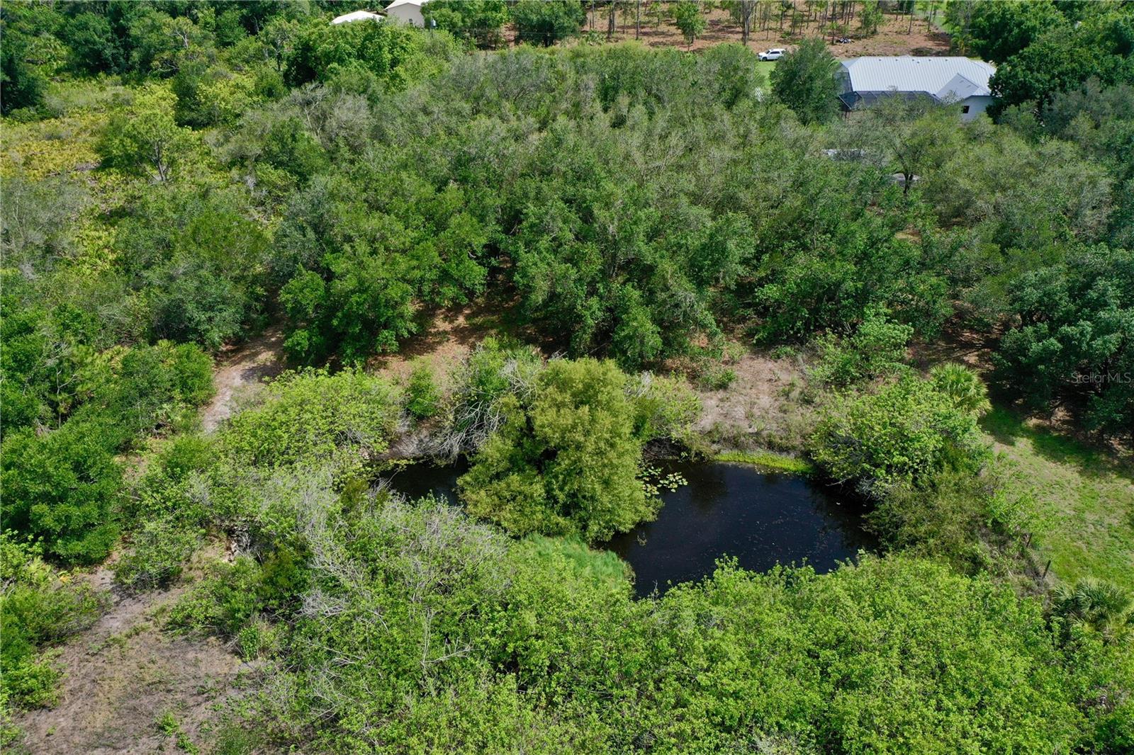 Image 14 of 34 For 24630 Tangelo Ave