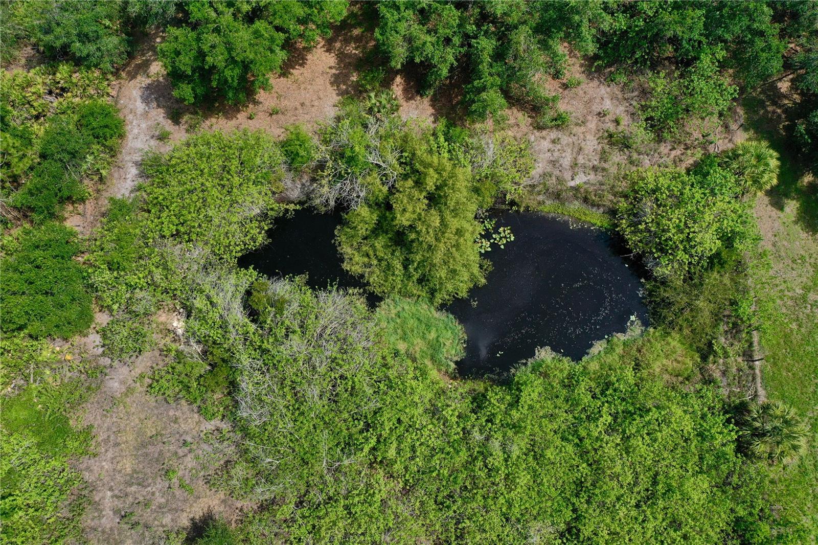 Image 15 of 34 For 24630 Tangelo Ave