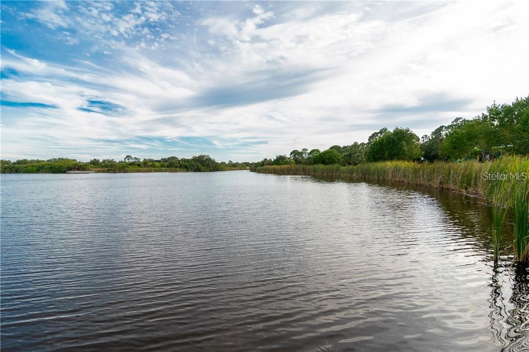 Image 11 of 17 For 13417 Alocasia Lane