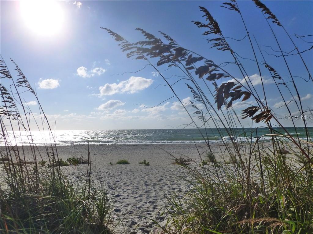 Image 16 of 17 For 13417 Alocasia Lane