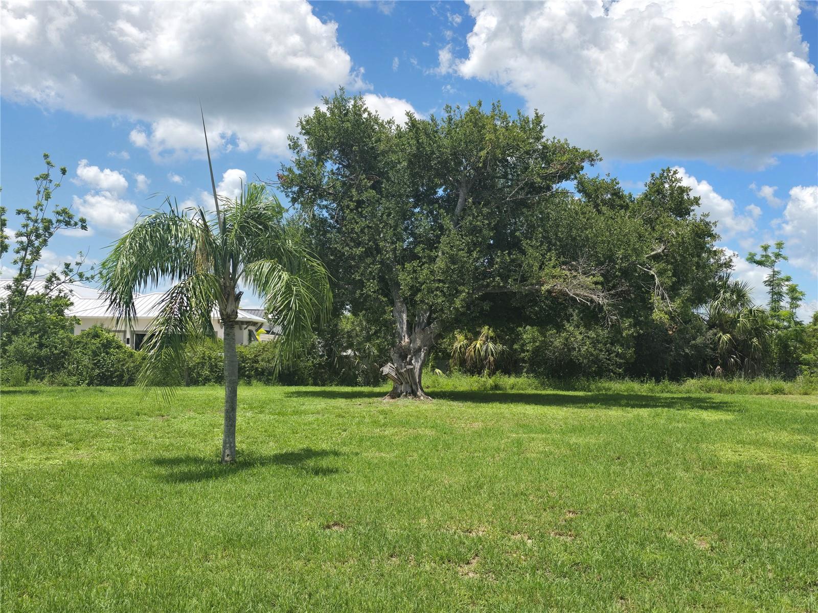 Image 3 of 3 For 28426 Coco Palm Drive