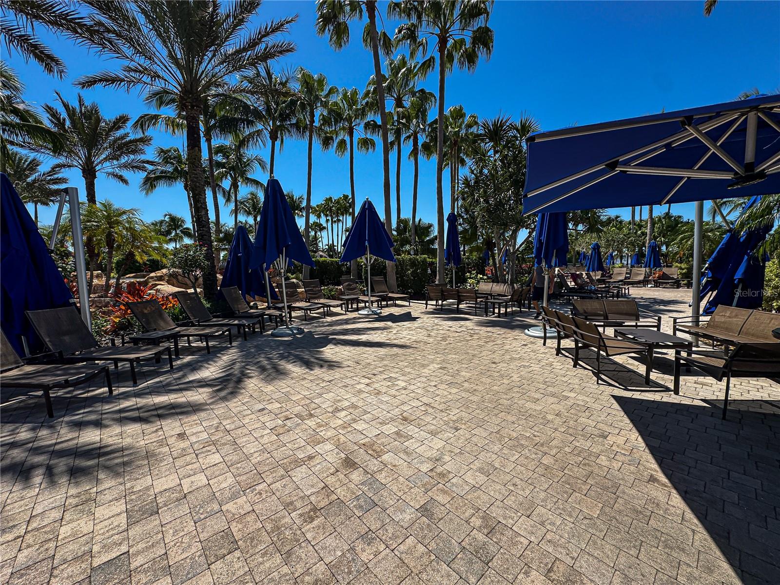Image 30 of 42 For 11220 Paseo Grande Boulevard 5207