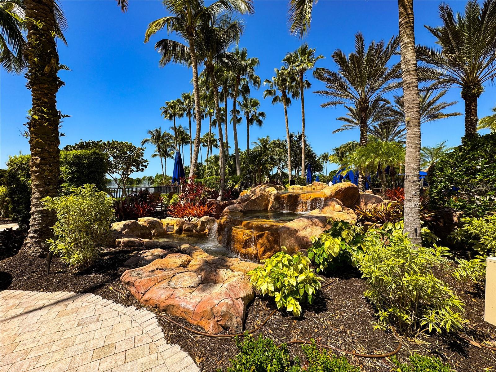Image 32 of 42 For 11220 Paseo Grande Boulevard 5207