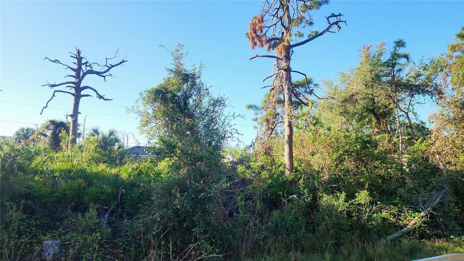 Image 2 of 4 For 11913&11921 Florence Avenue