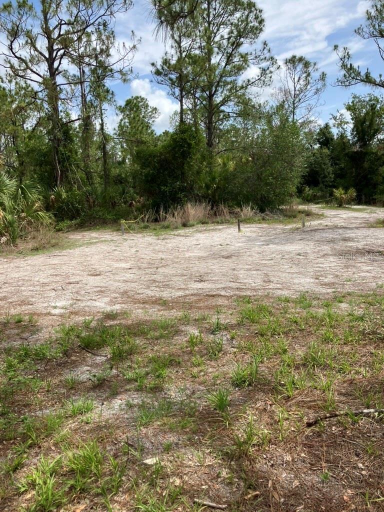 Image 10 of 16 For Blitzen Terrace