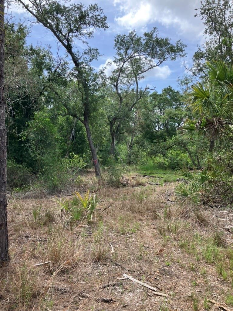 Image 14 of 16 For Blitzen Terrace