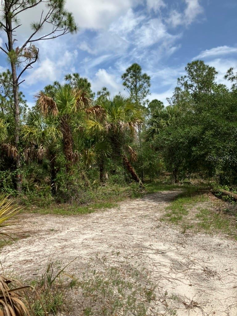 Image 15 of 16 For Blitzen Terrace