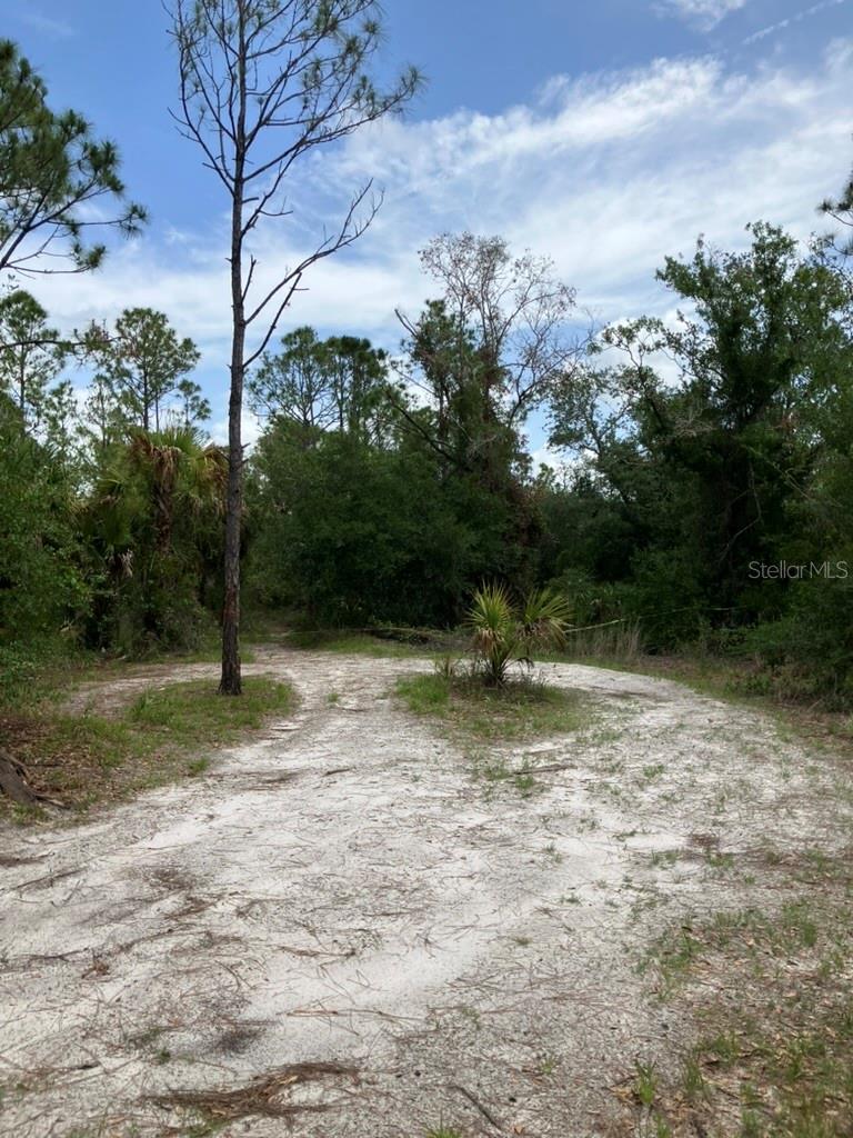 Image 6 of 16 For Blitzen Terrace