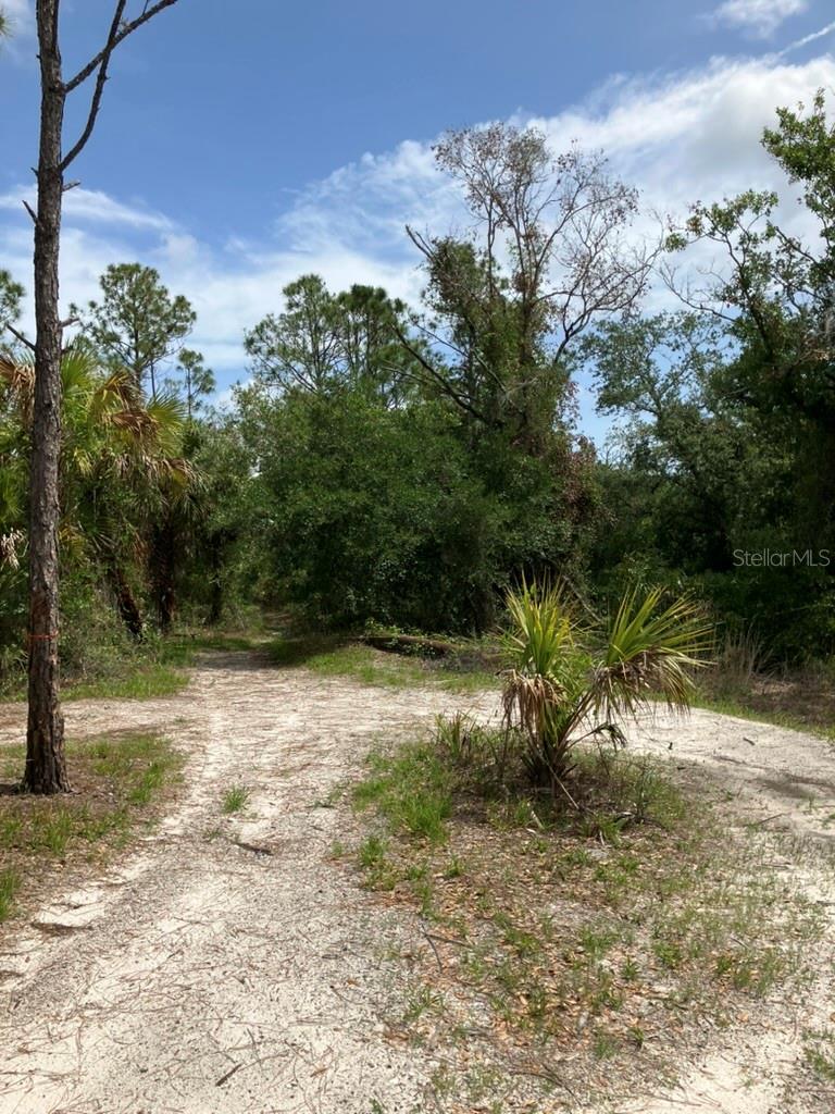 Image 7 of 16 For Blitzen Terrace