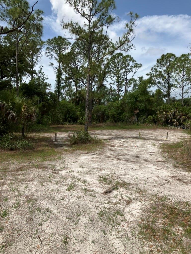 Image 8 of 16 For Blitzen Terrace