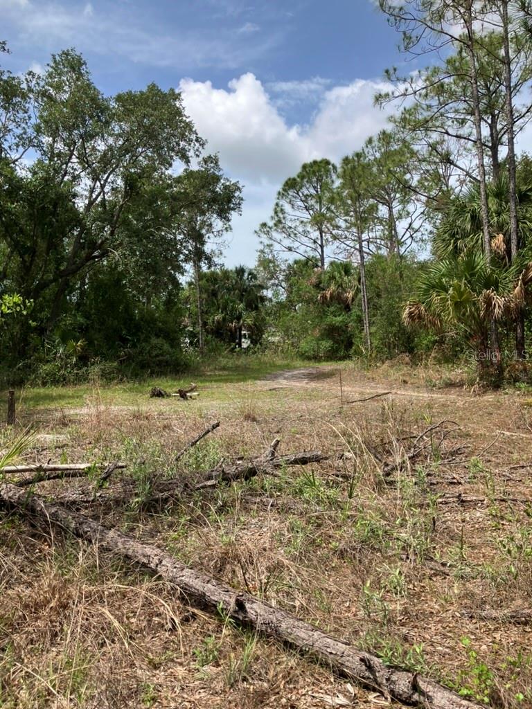 Image 9 of 16 For Blitzen Terrace