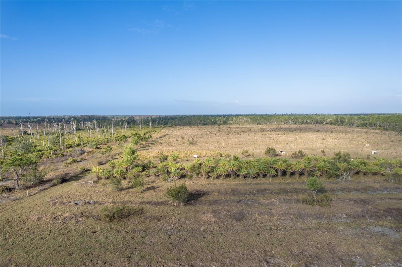 Image 6 of 24 For 12252 Burnt Store Road