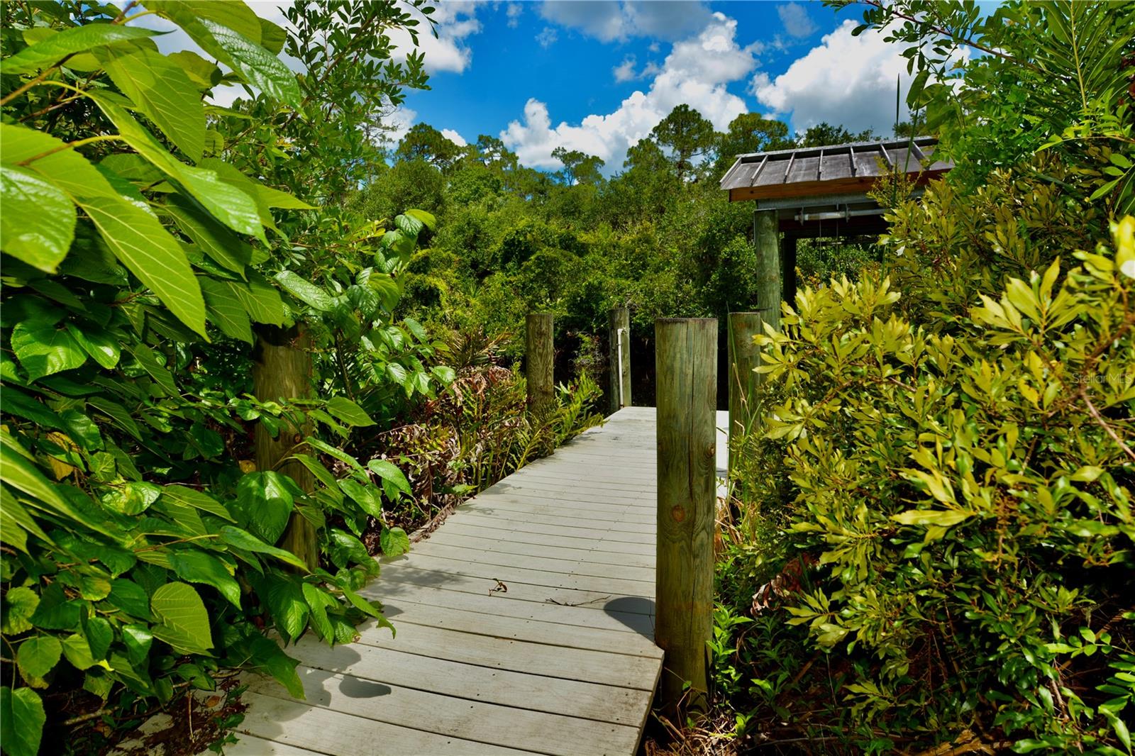 Image 67 of 100 For 18220 Elmwood Drive