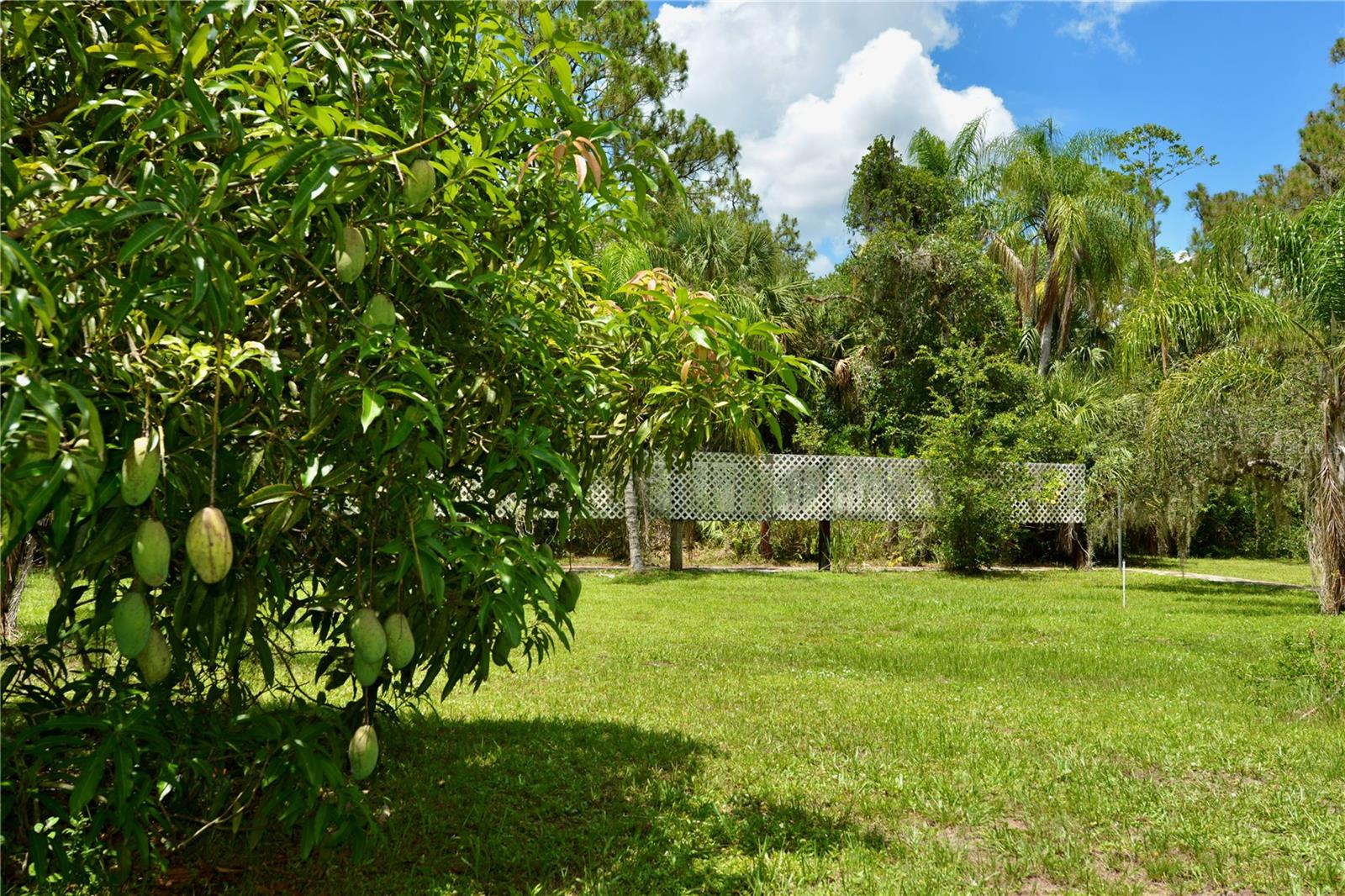 Image 74 of 100 For 18220 Elmwood Drive