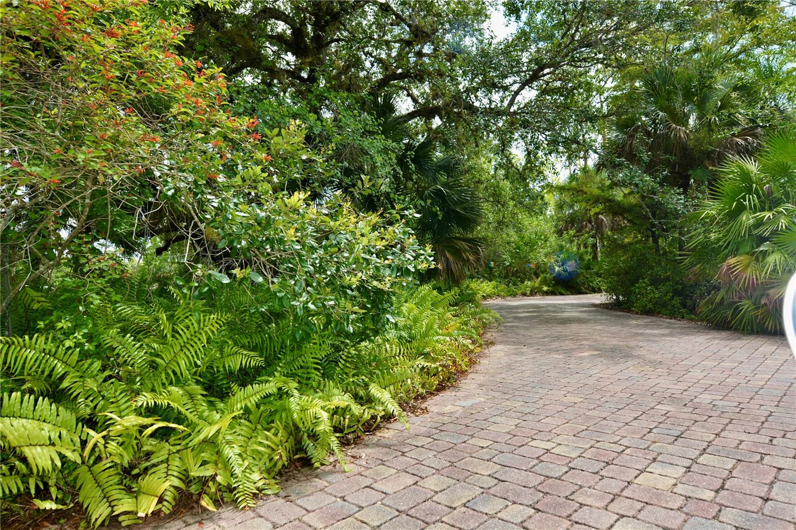 Image 98 of 100 For 18220 Elmwood Drive