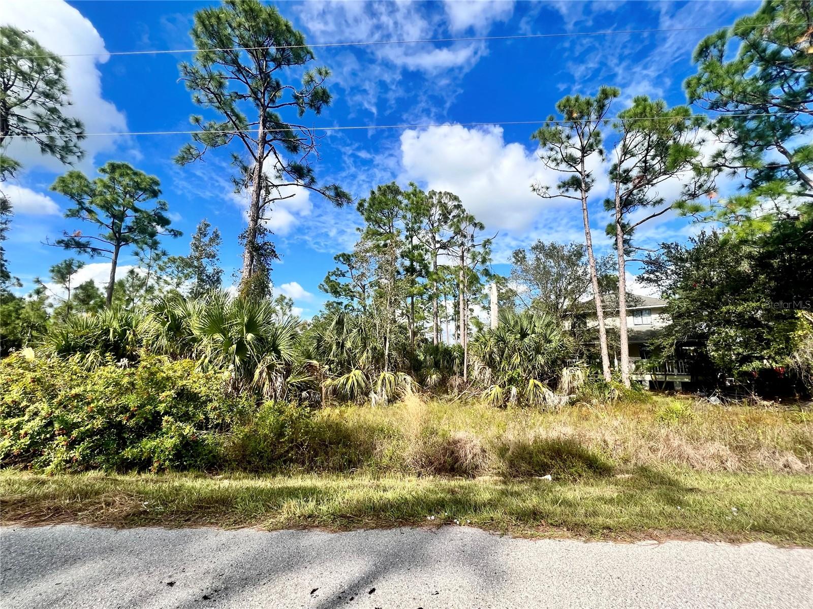 Details for 27372 Las Lomas Drive, PUNTA GORDA, FL 33955