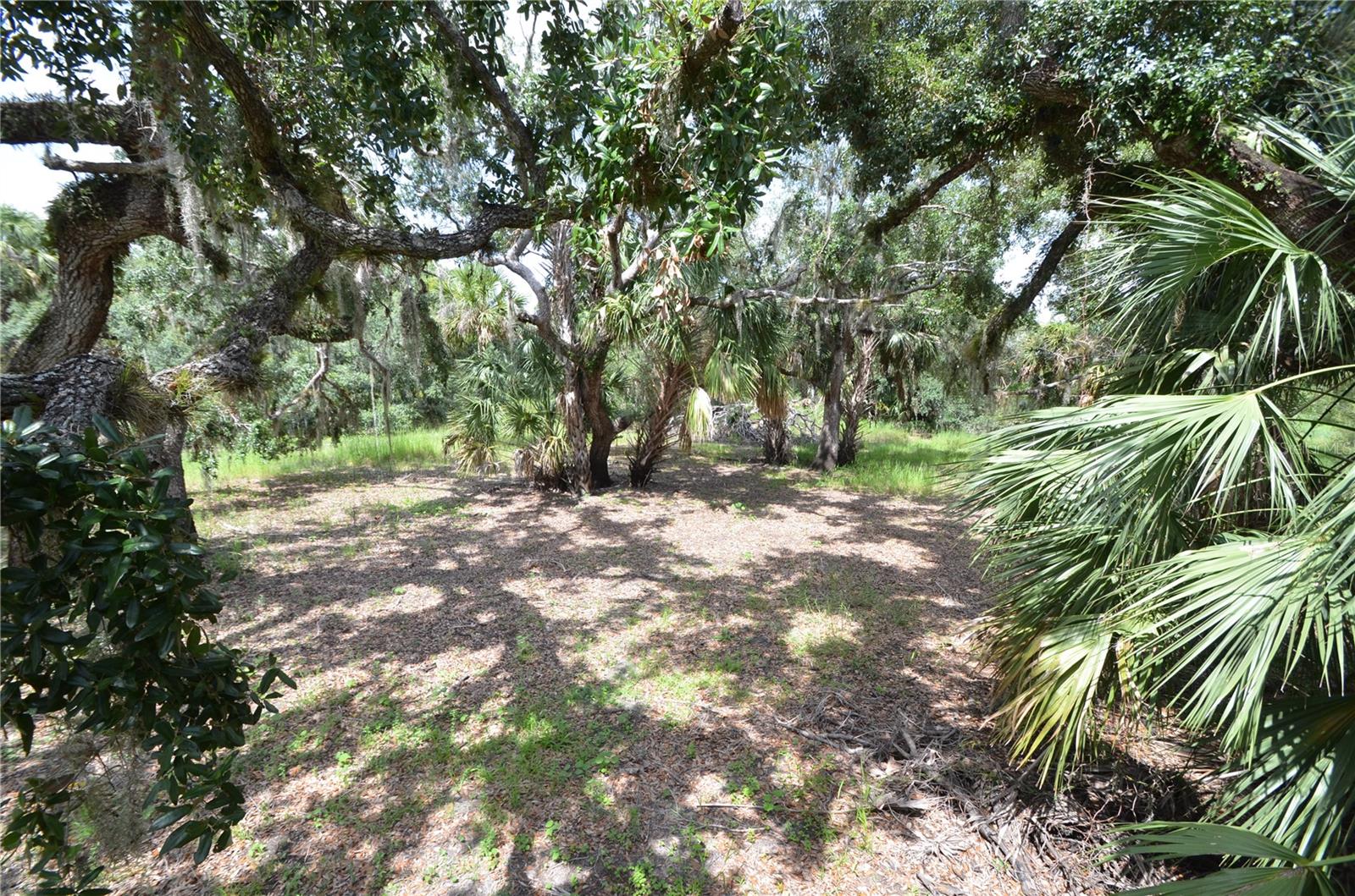 Image 35 of 45 For 0 Highway 31