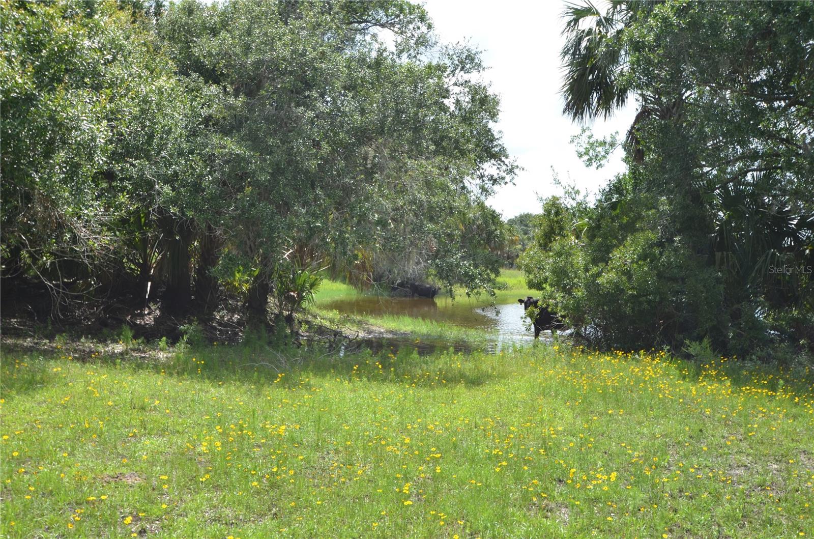 Image 39 of 45 For 0 Highway 31