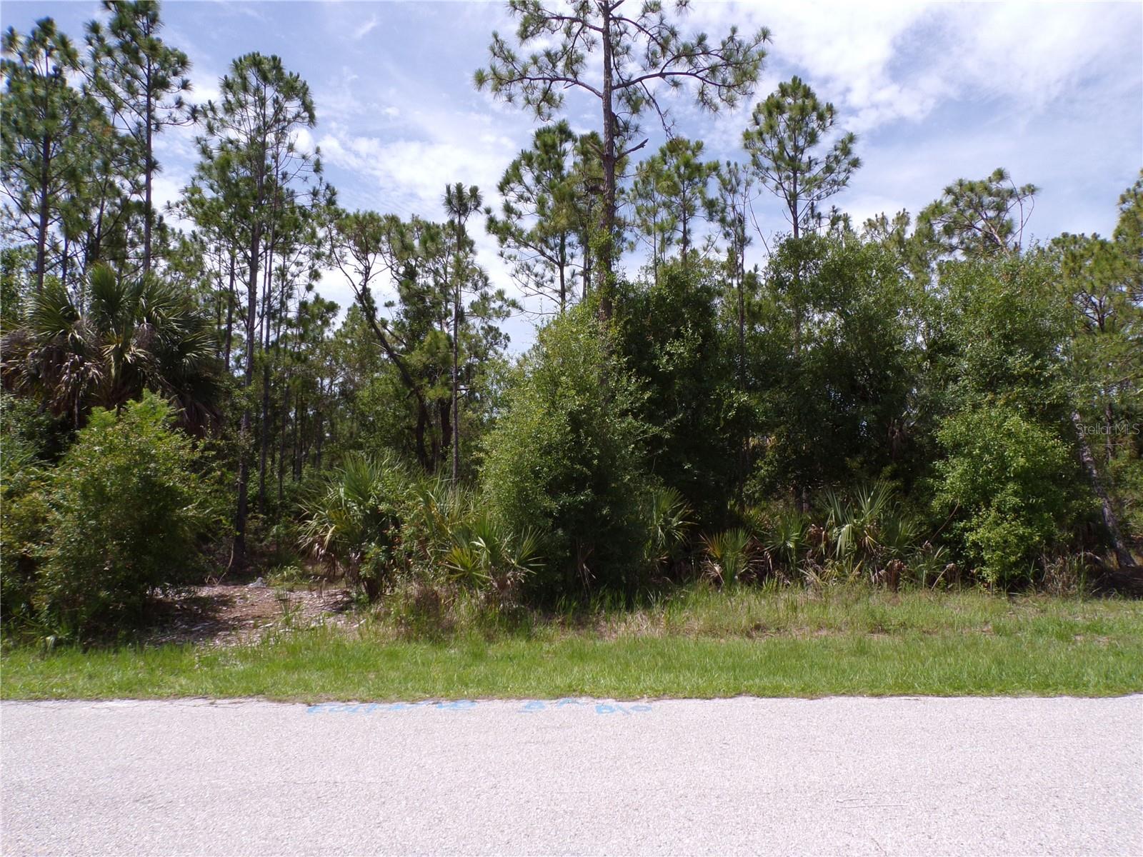 Image 7 of 13 For 23413 Patera Avenue