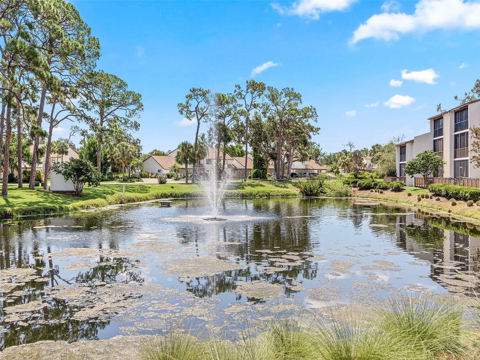 Image 16 of 25 For 1144 Bird Bay Way 102