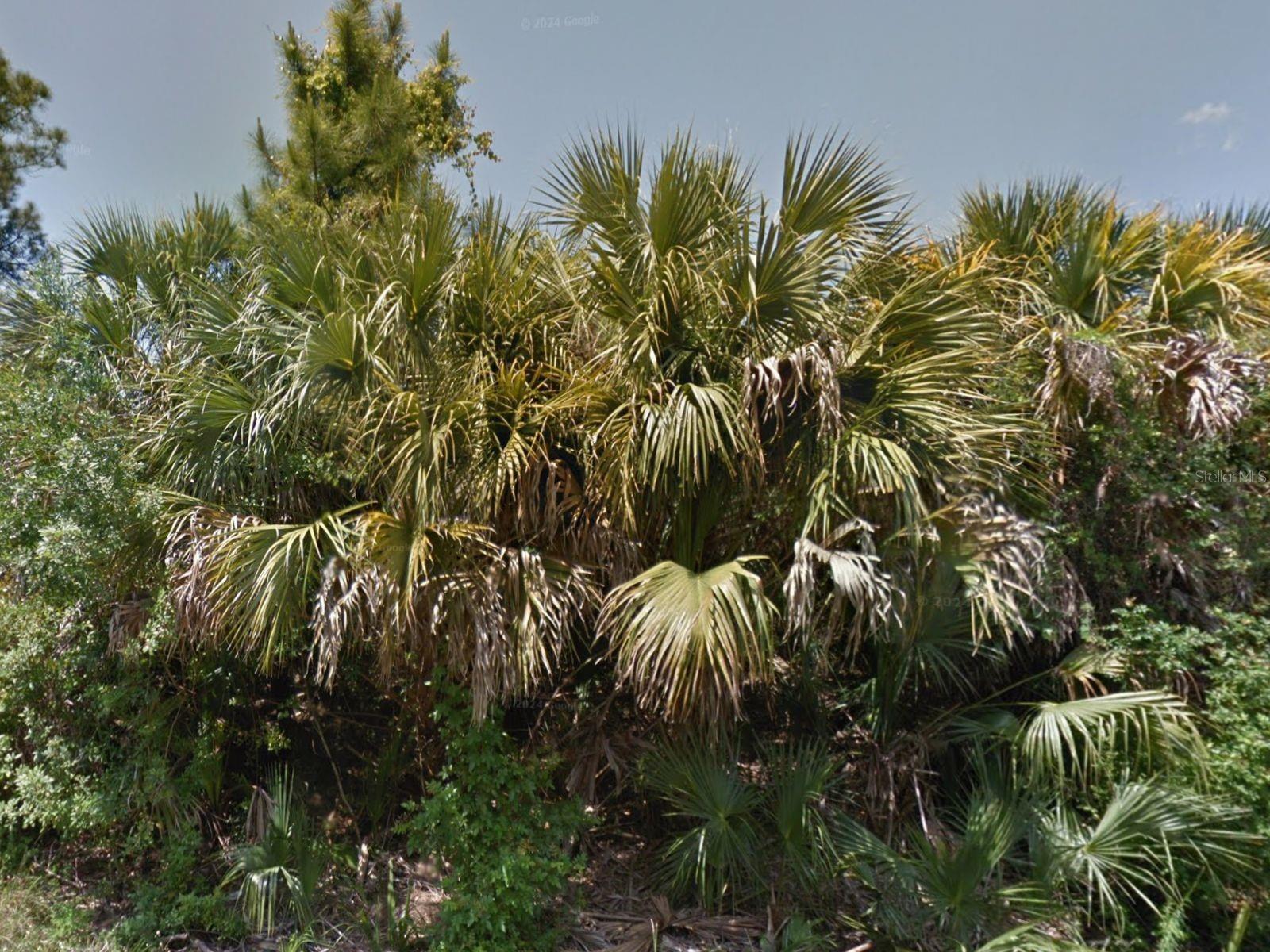 Image 3 of 4 For 0 Raven Street