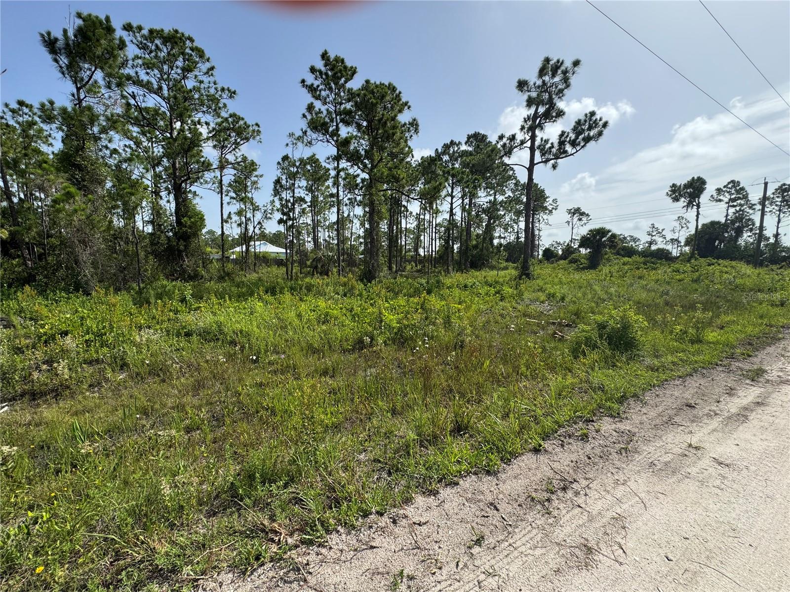 Details for 29528 Clara Drive, PUNTA GORDA, FL 33982