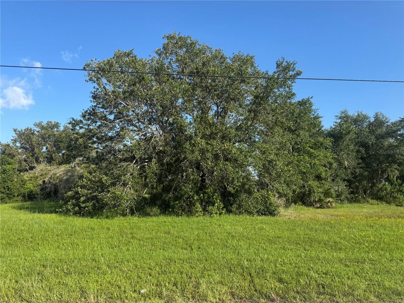 Details for 8076 Liverpool Road, ARCADIA, FL 34269