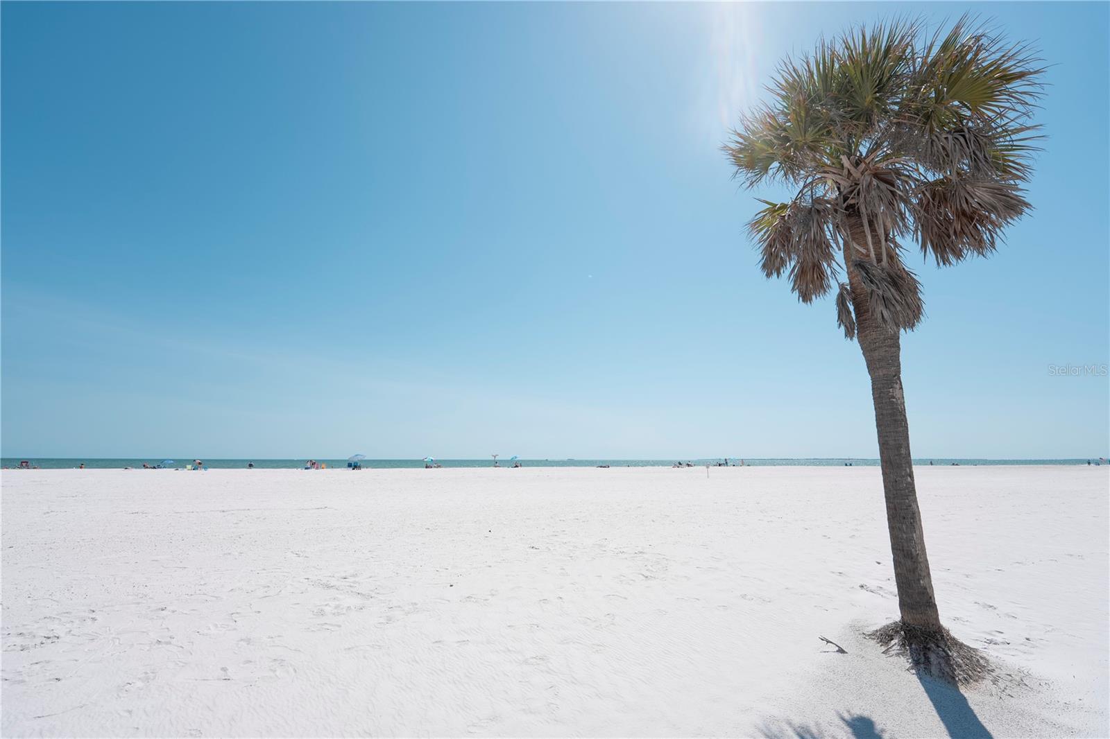 Listing photo id 13 for 800-802 Estero Boulevard 1