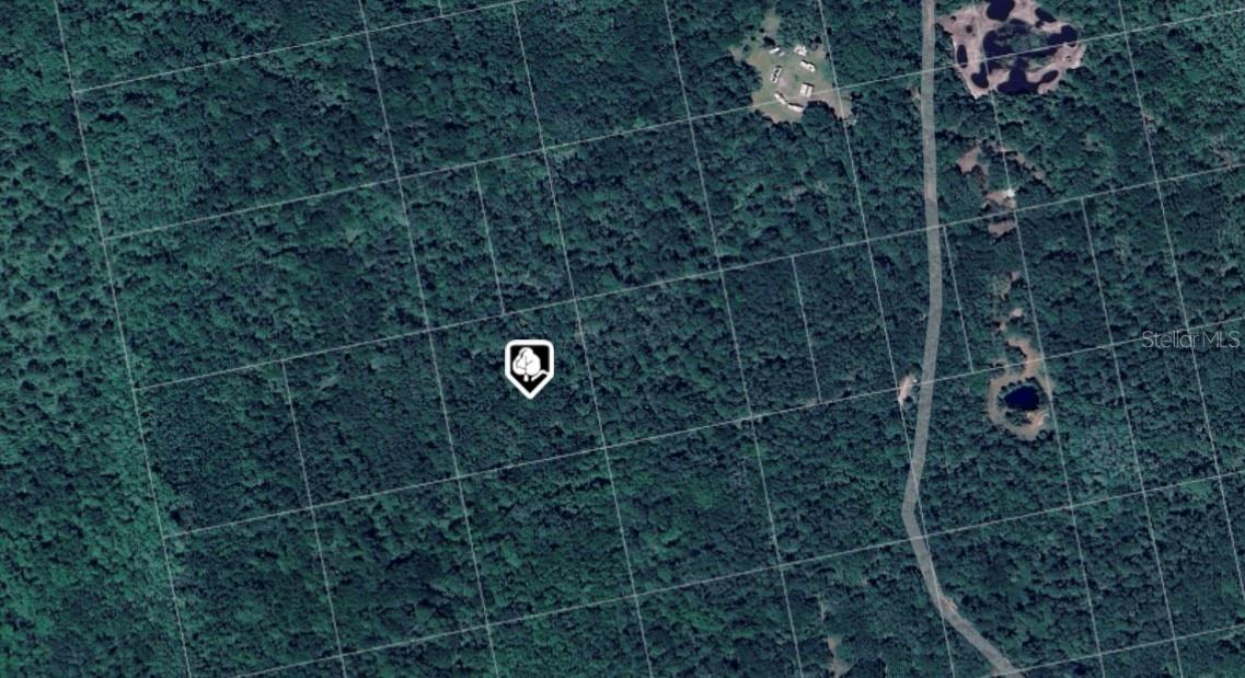 Image 4 of 4 For Lot#94 No Name
