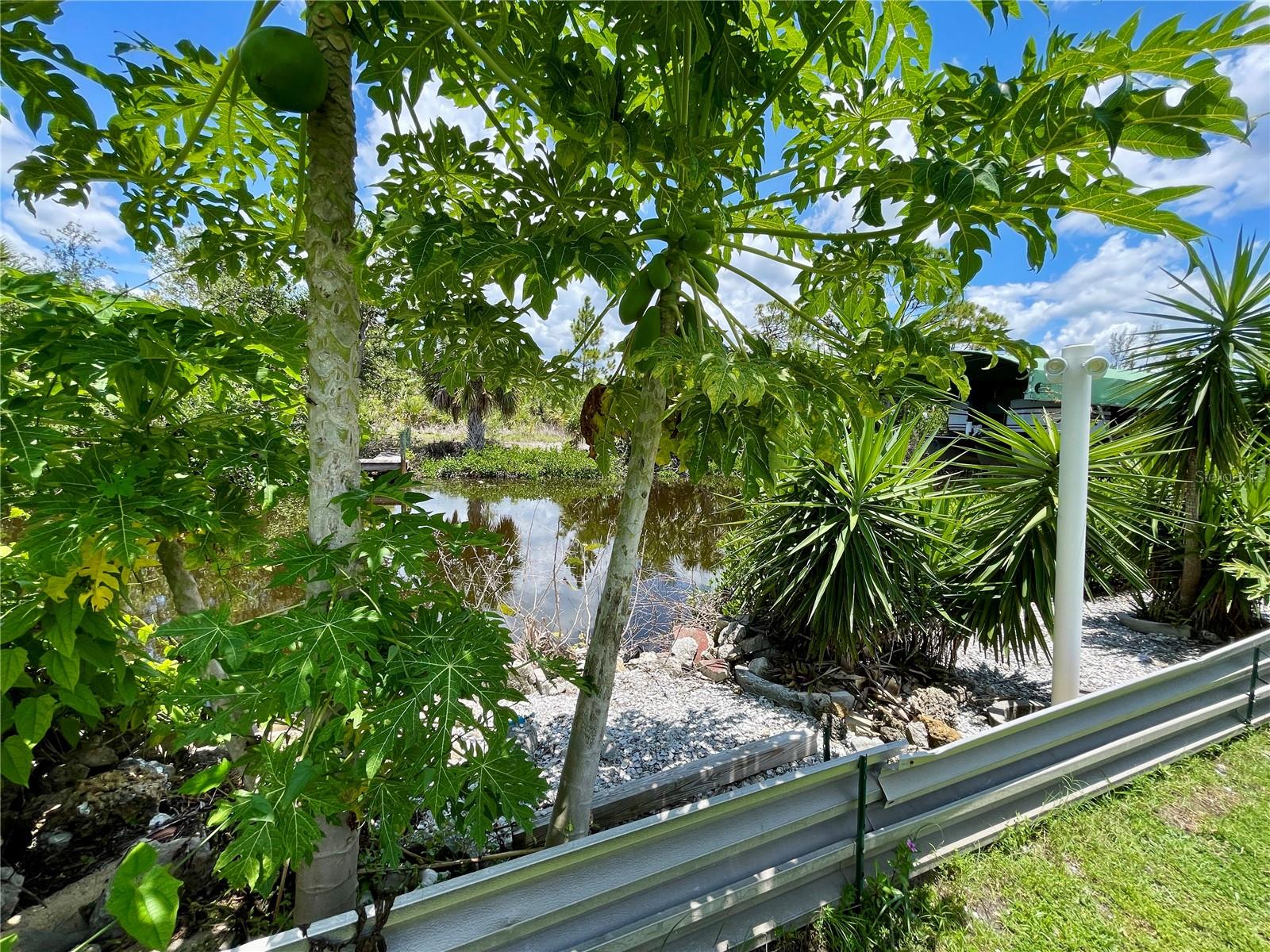 Image 72 of 77 For 3110 Bamboo Court
