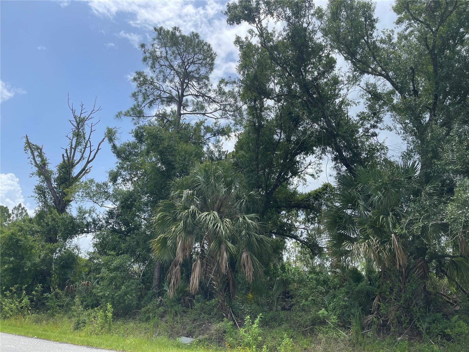 Details for Bellafonte Avenue, NORTH PORT, FL 34286