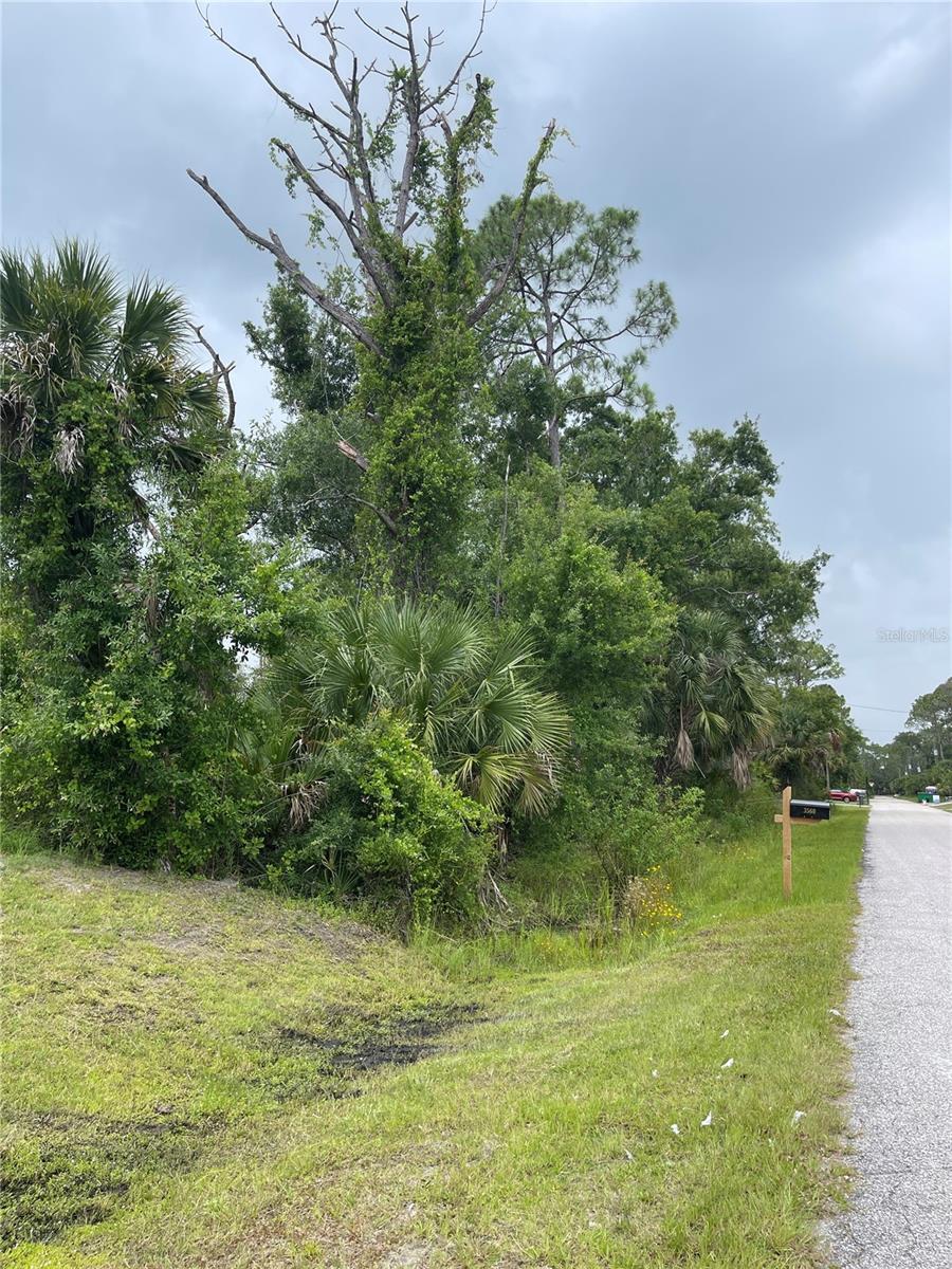 Image 3 of 4 For Bellafonte Avenue