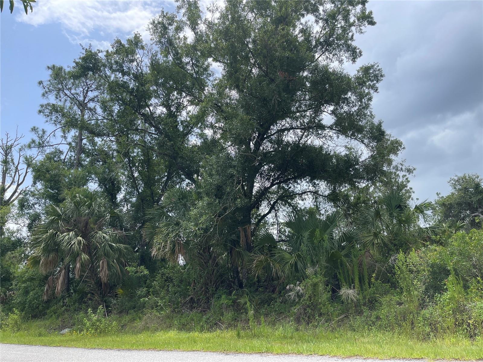 Image 2 of 3 For  Bellefonte  