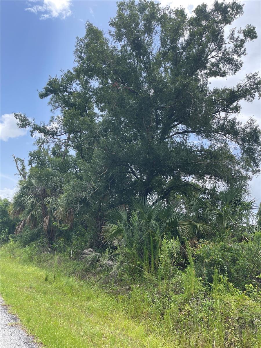 Image 3 of 3 For  Bellefonte  