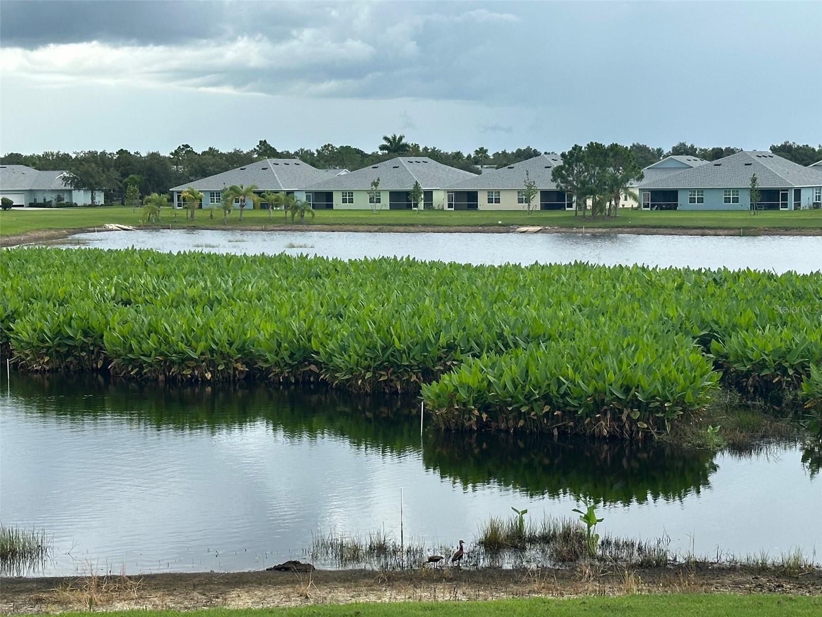 Image 37 of 38 For 2180 Heron Lake Drive 204