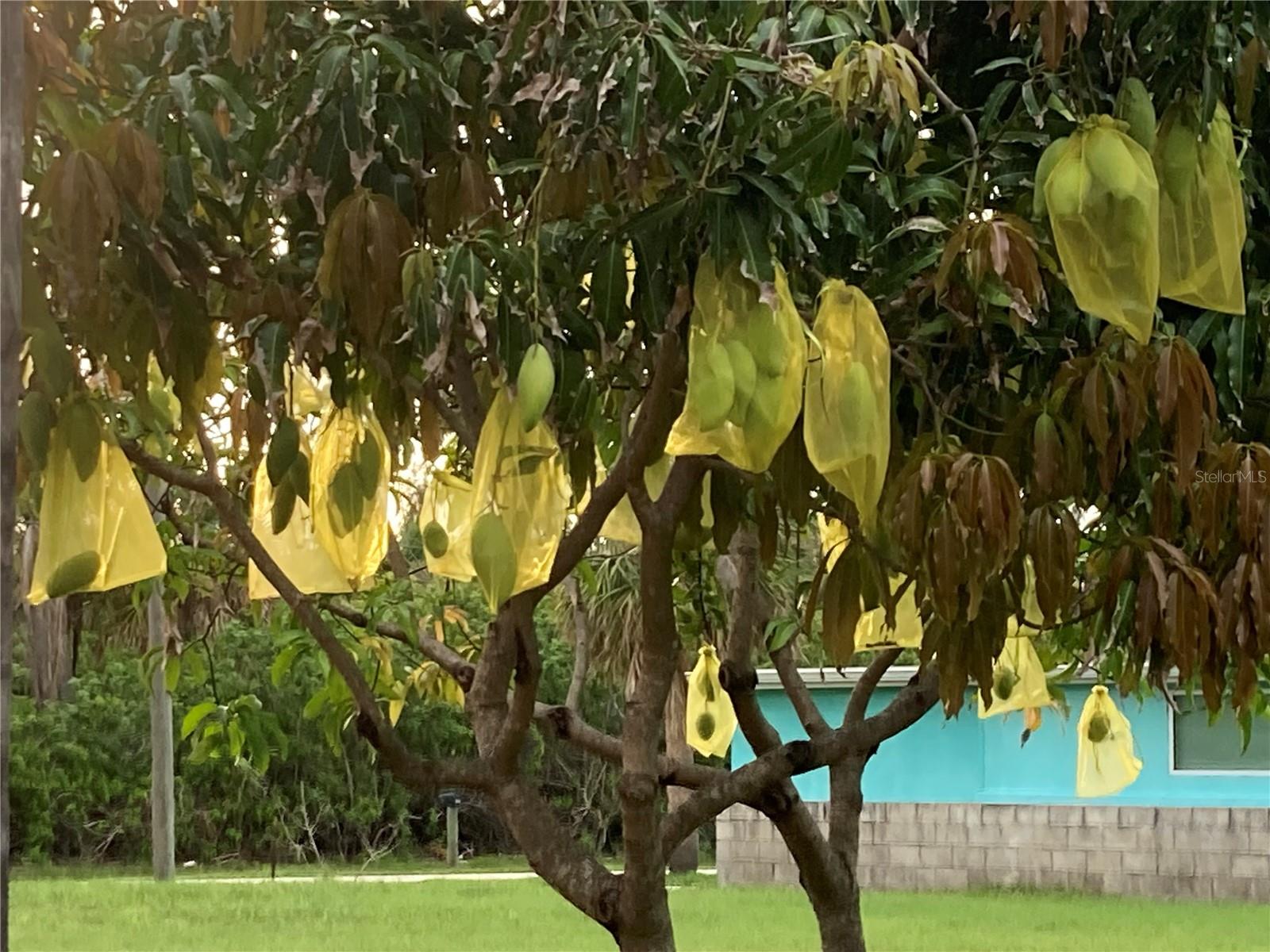 Image 93 of 95 For 232 Darst Avenue