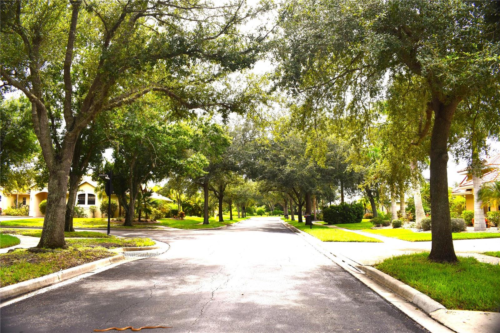 Image 55 of 59 For 27102 Harbour Oaks Boulevard