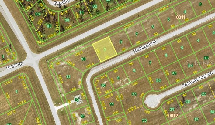 Listing Details for 12283 Tripletail Drive, PLACIDA, FL 33946