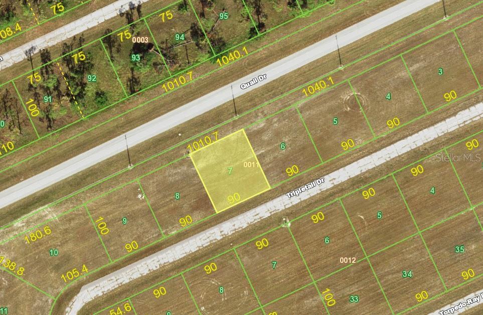 Listing Details for 12263 Tripletail Drive, PLACIDA, FL 33946