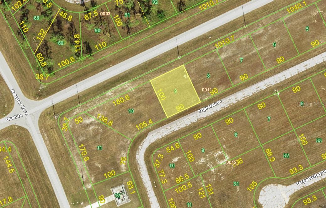 Listing Details for 12383 Tripletail Drive, PLACIDA, FL 33946