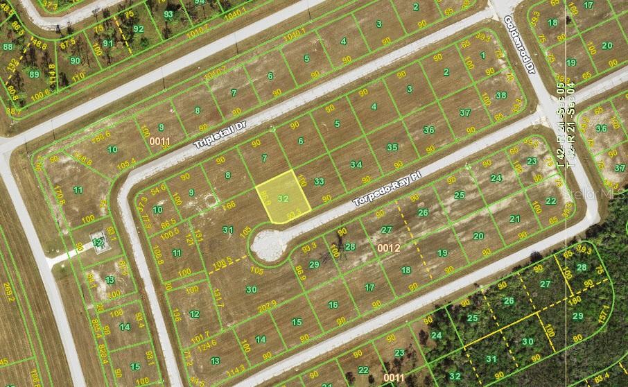 Listing Details for 13466 Torpedo-ray Place, PLACIDA, FL 33946