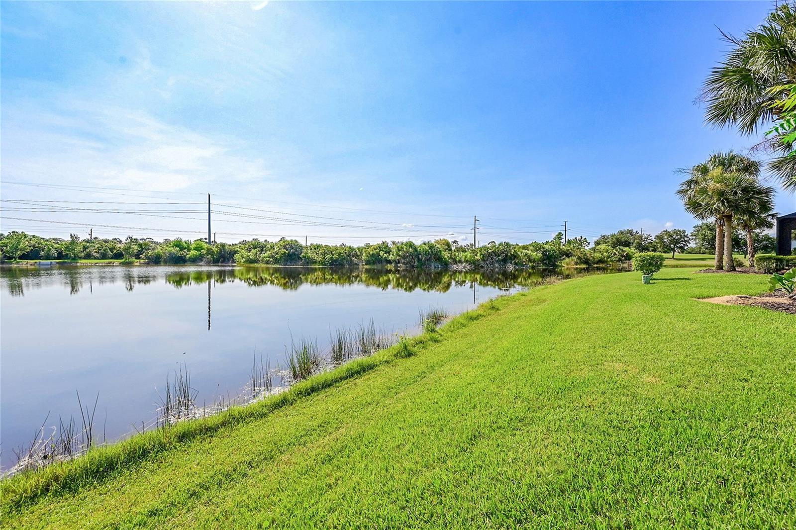 Image 43 of 64 For 333 Cipriani Way