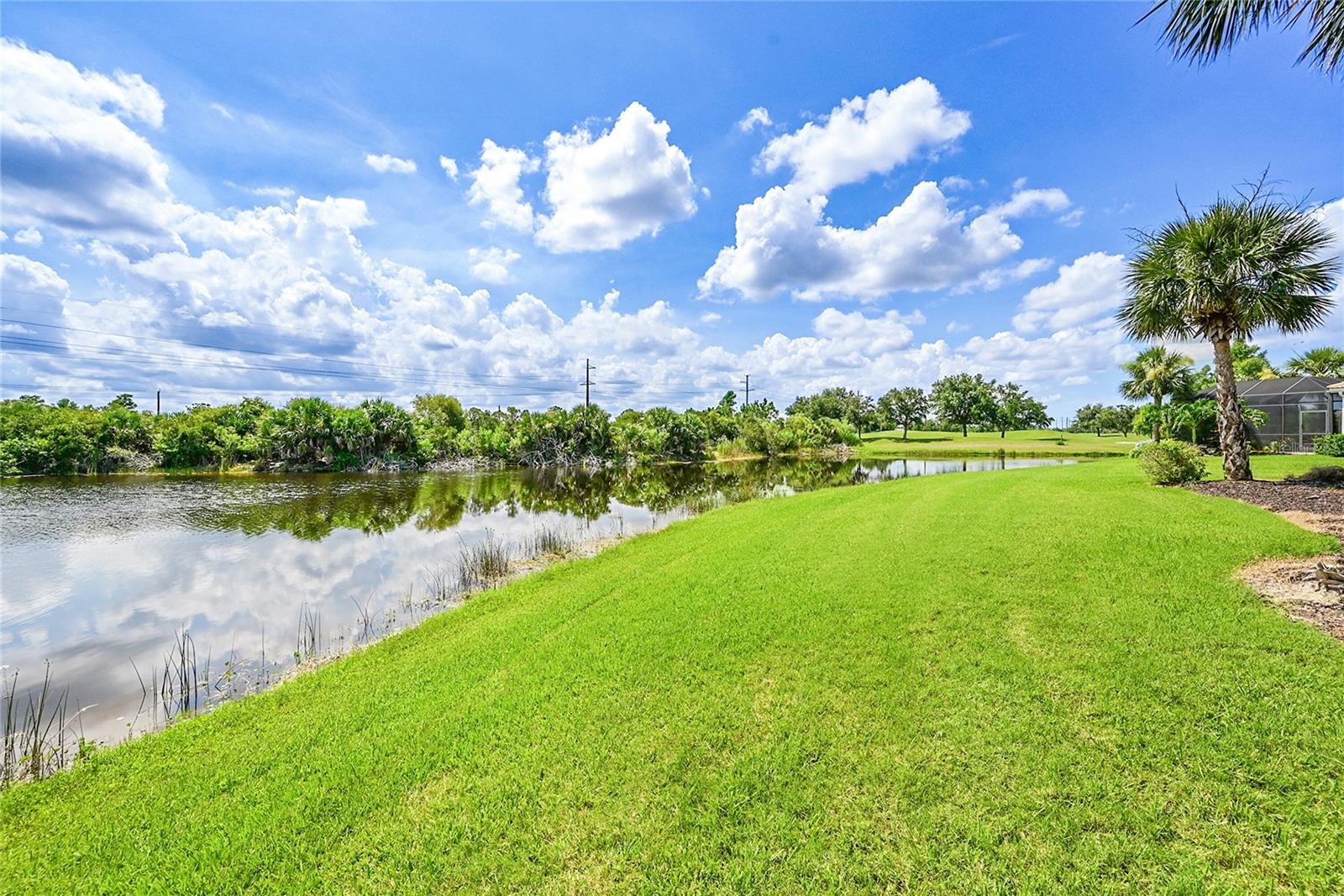 Image 37 of 62 For 337 Cipriani Way