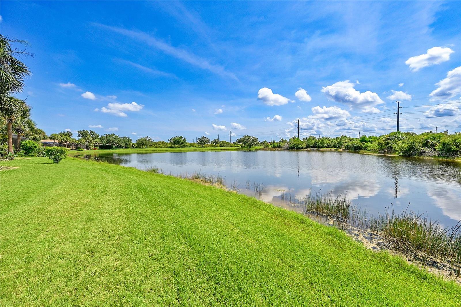Image 39 of 62 For 337 Cipriani Way