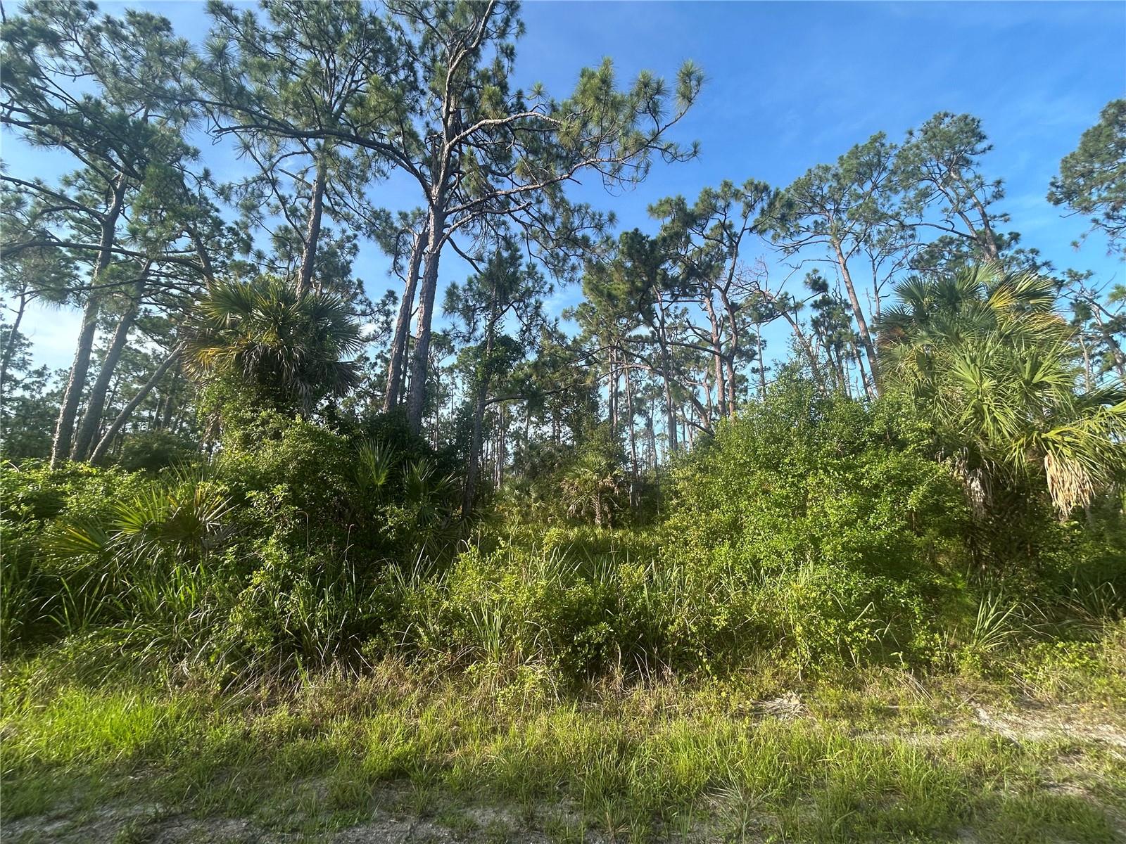 Image 3 of 4 For 18157 Wakashan Avenue