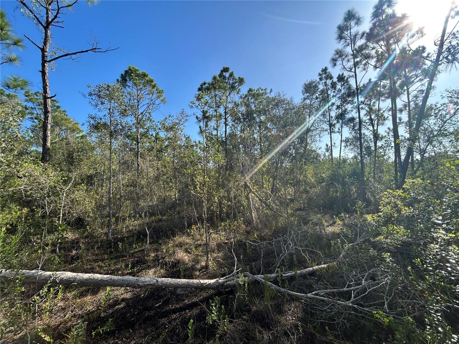 Details for 7041 Sweden Boulevard, PUNTA GORDA, FL 33982